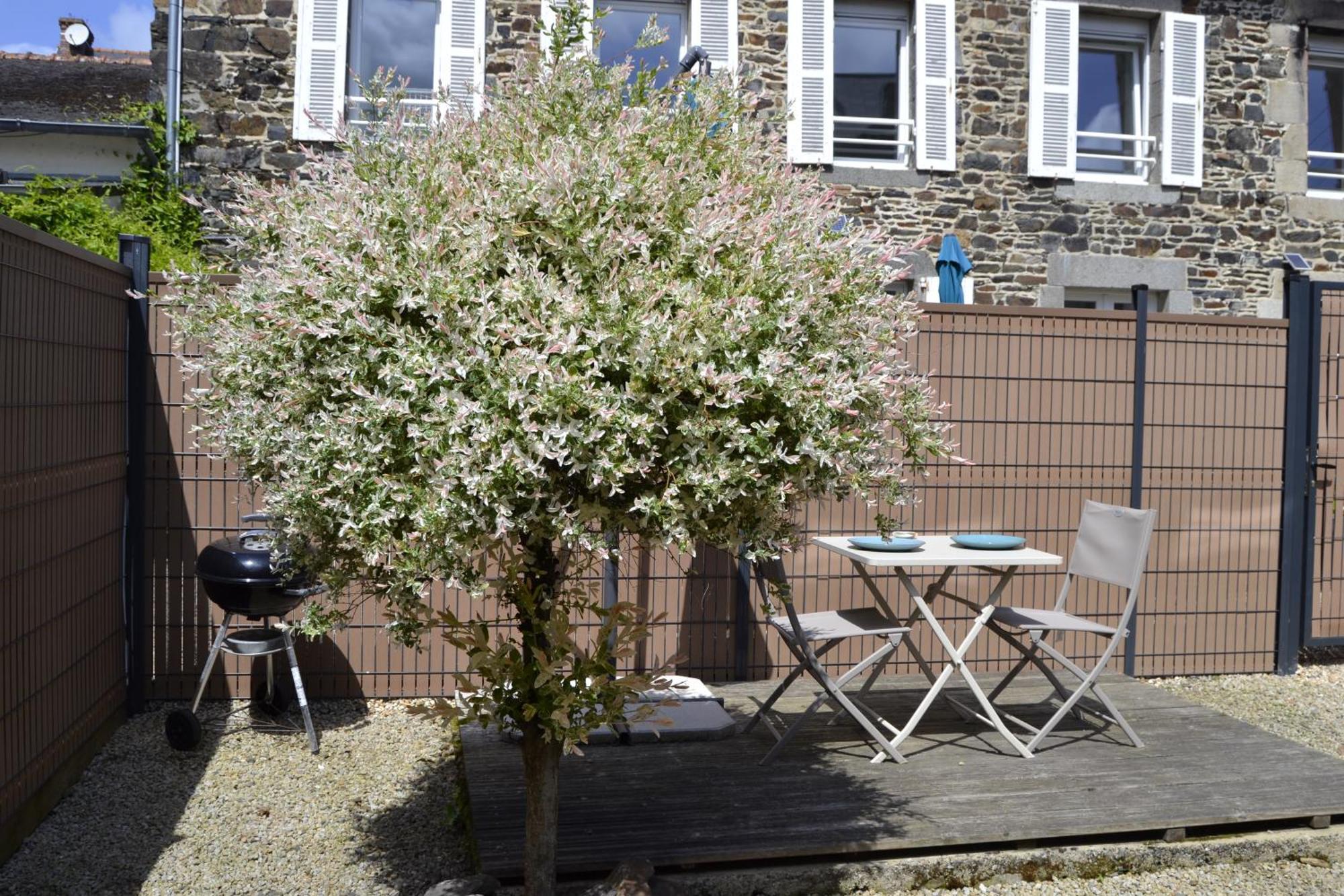 ביניק Charmante Petite Maison Proche Du Port, Maison 7 מראה חיצוני תמונה